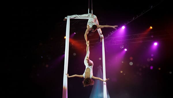 Aerial Silk Duo
